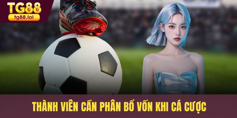Thành viên cần phân bổ vốn khi cá cược